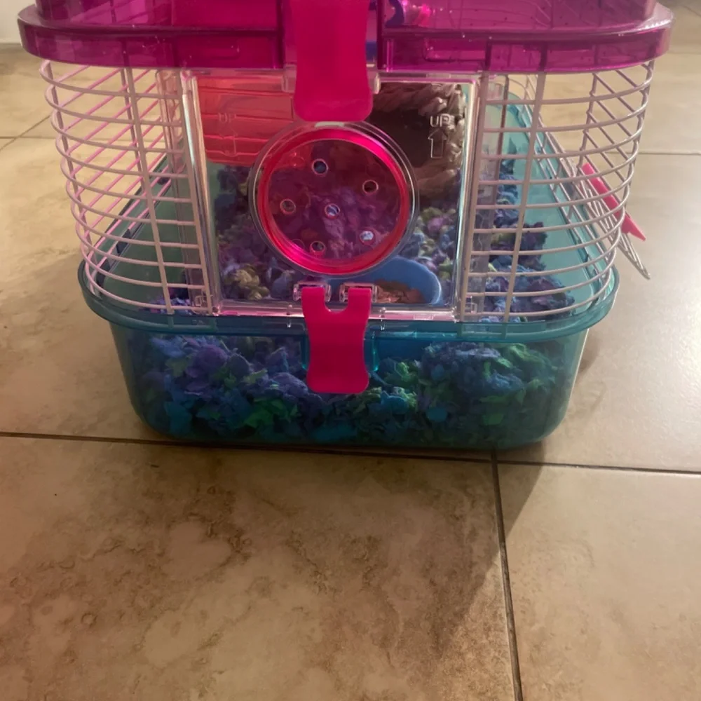 hampster cage